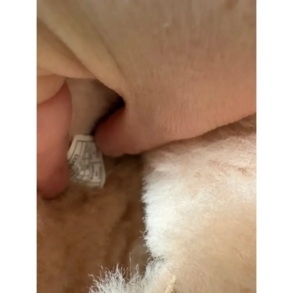 UGG Mini Bailey Button II Chestnut Boots 6 Y2K